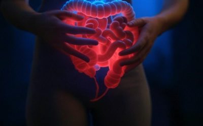 Hypnose pour le SCI : Une Solution Efficace ?