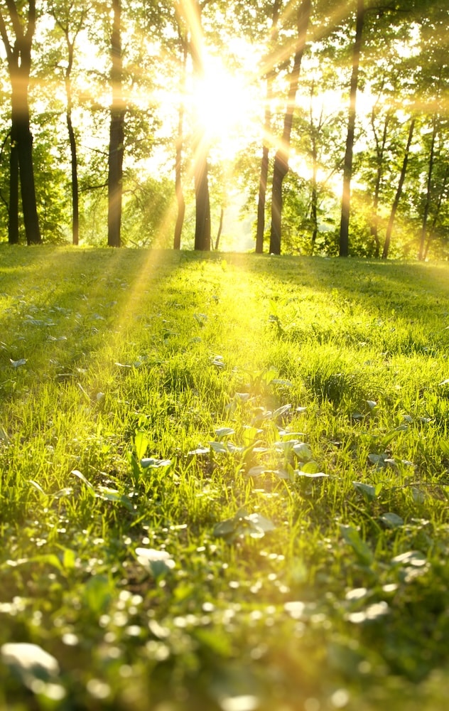 Cédric Abeck - Nature et Yoga